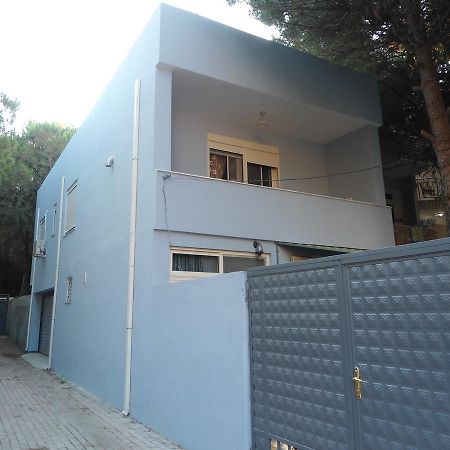 Vacation Home Dibra Velipojë Екстериор снимка